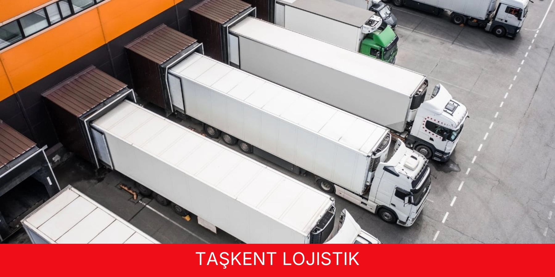 Taşkent Lojistik