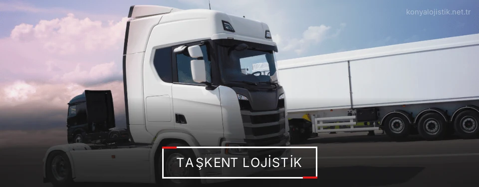 Taşkent Lojistik Kargo